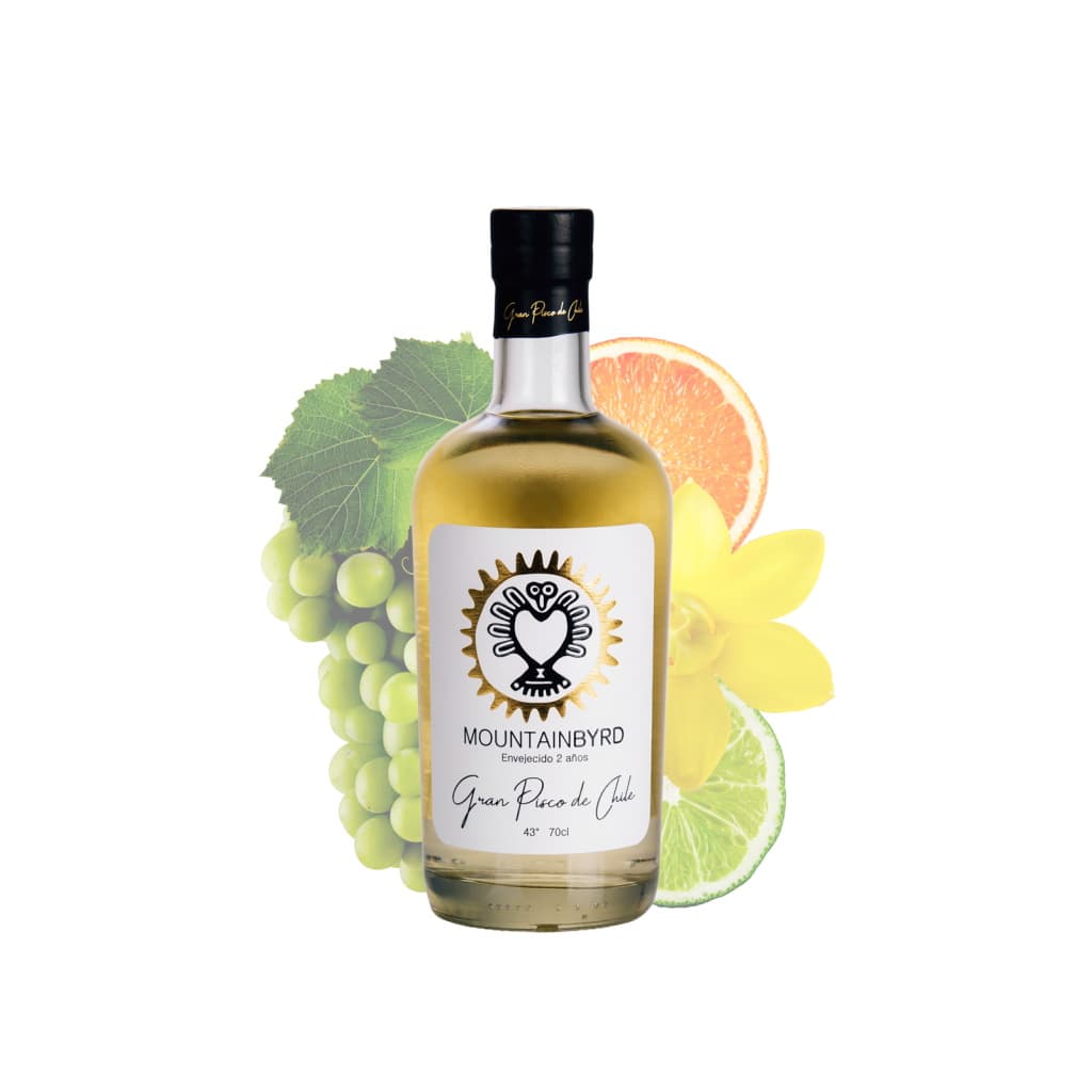 Mountainbyrd Gran Pisco de Chile Flasche